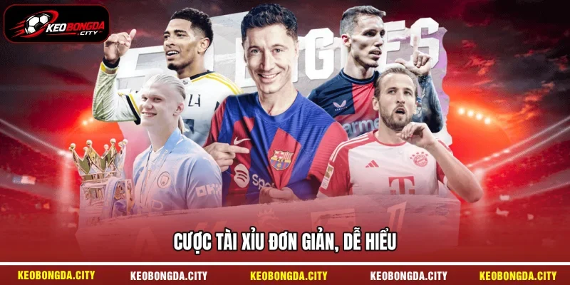 Cược tài xỉu đơn giản, dễ hiểu