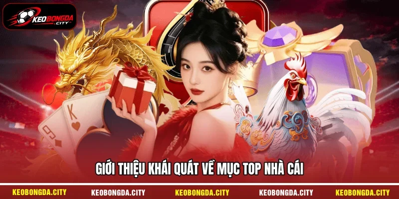 Giới thiệu khái quát về mục top nhà cái