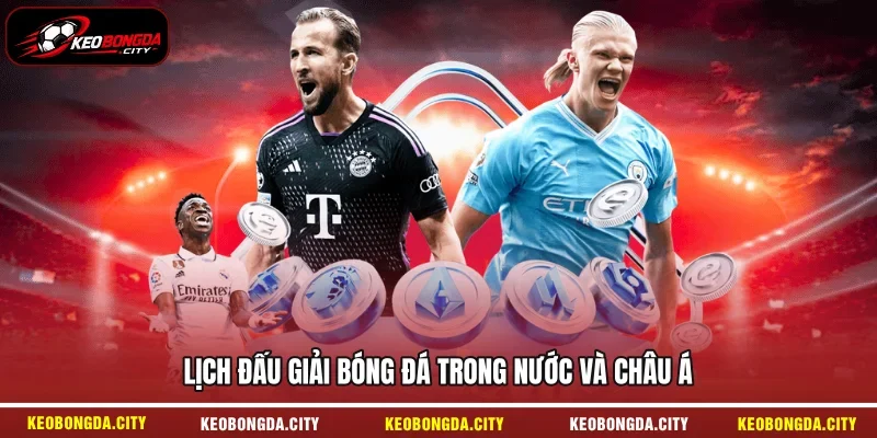 Lịch đấu giải bóng đá trong nước và Châu Á 