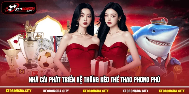 Nhà cái phát triển hệ thống kèo thể thao phong phú