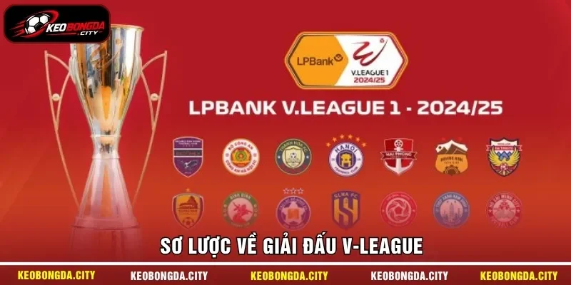 Sơ lược về giải đấu V-League