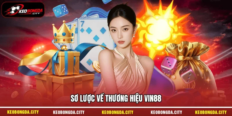 Sơ lược về thương hiệu Vin88